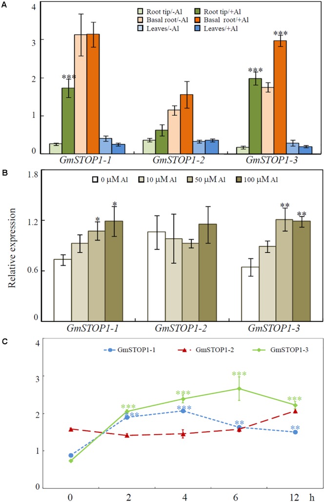 FIGURE 3