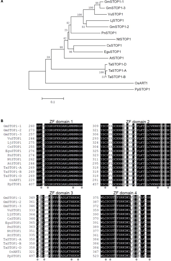 FIGURE 1