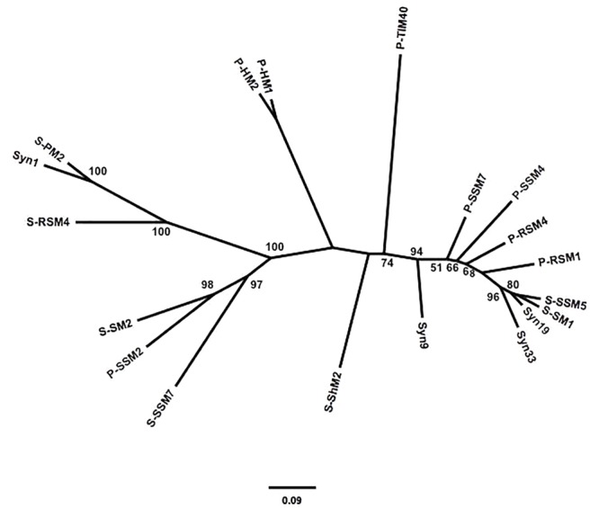 FIGURE 2