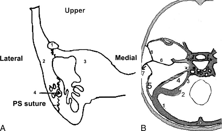 fig 1.