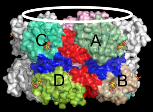 Fig. 4.