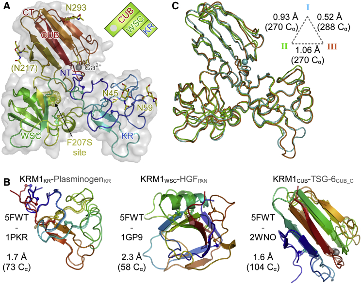 Figure 1