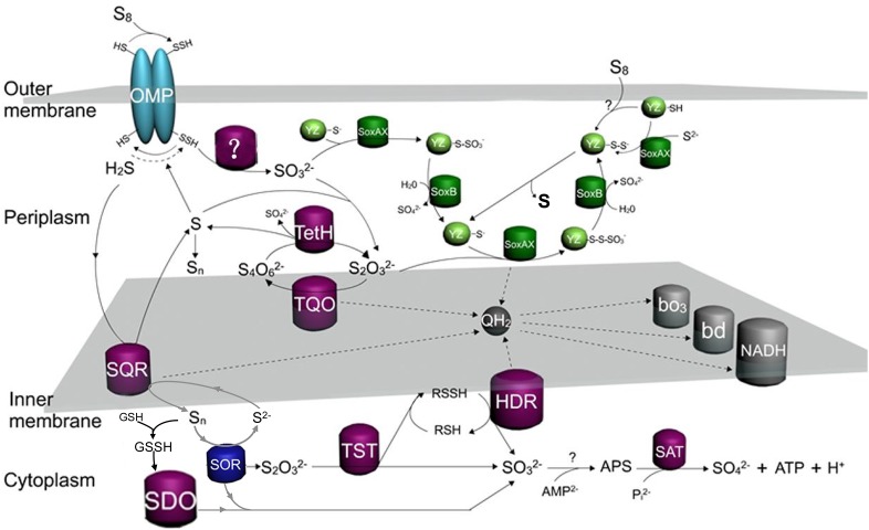 FIGURE 7