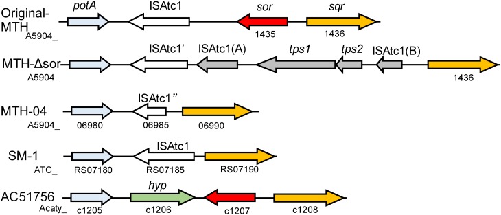 FIGURE 3