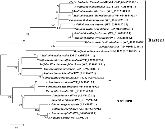 FIGURE 2