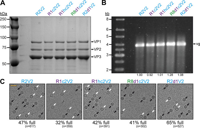 FIG 8