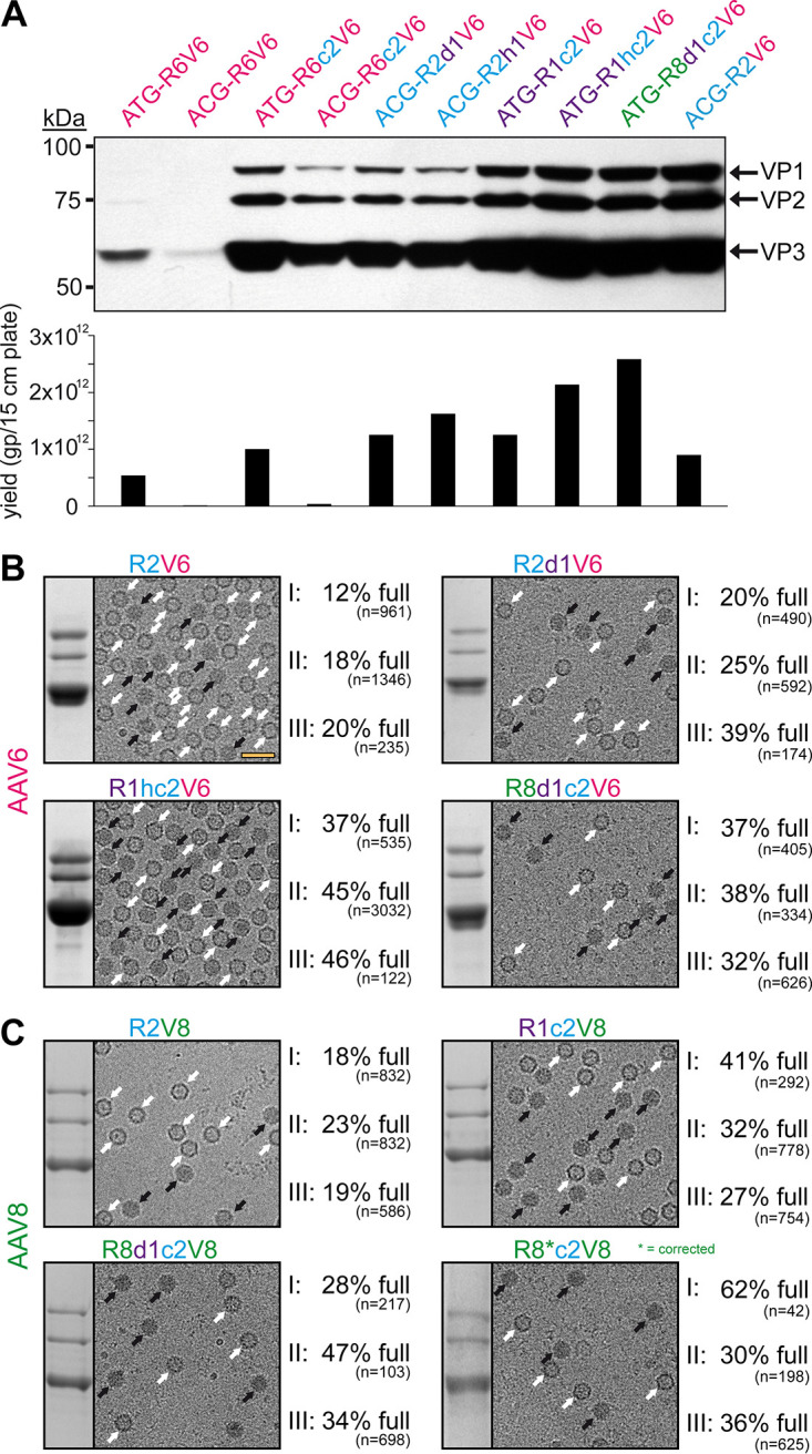 FIG 6