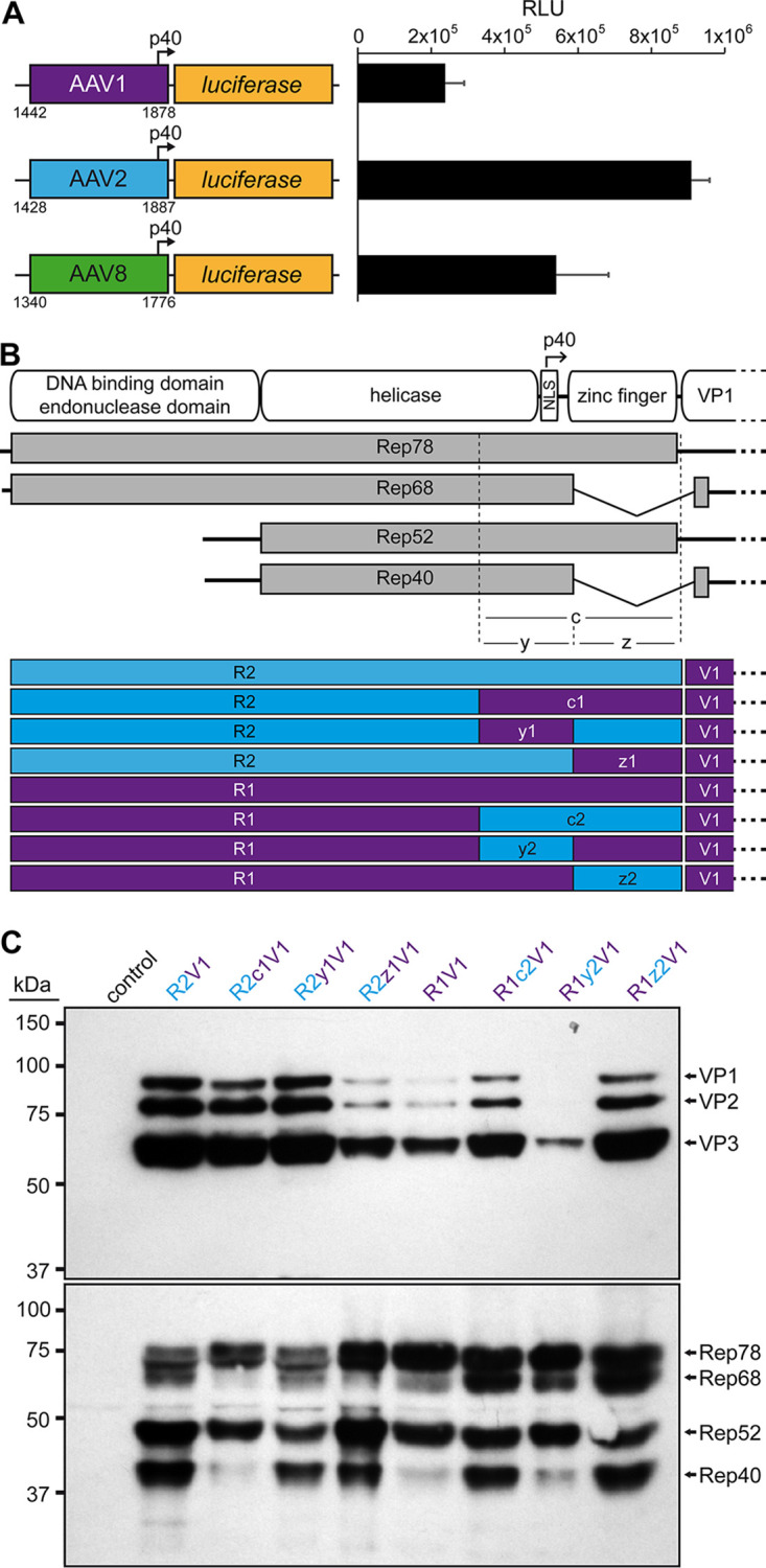 FIG 2