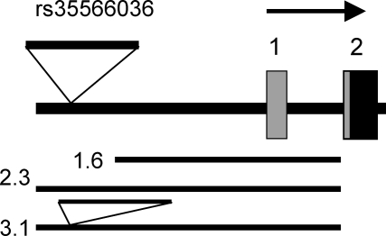 Figure 1.