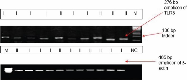 Fig.3