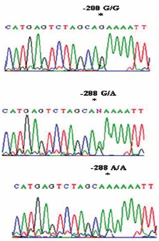 Fig. 2a