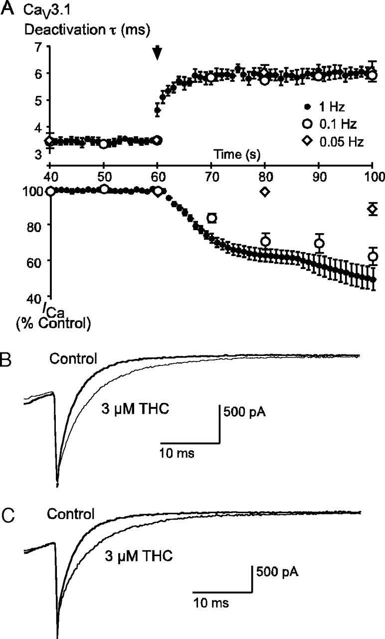 FIGURE 10.