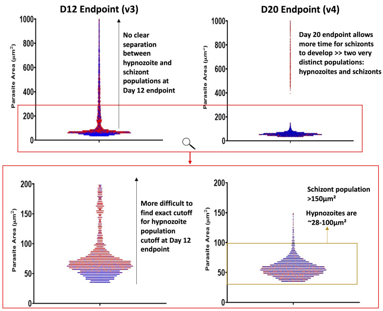 Figure 12.