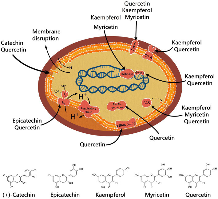 Figure 5