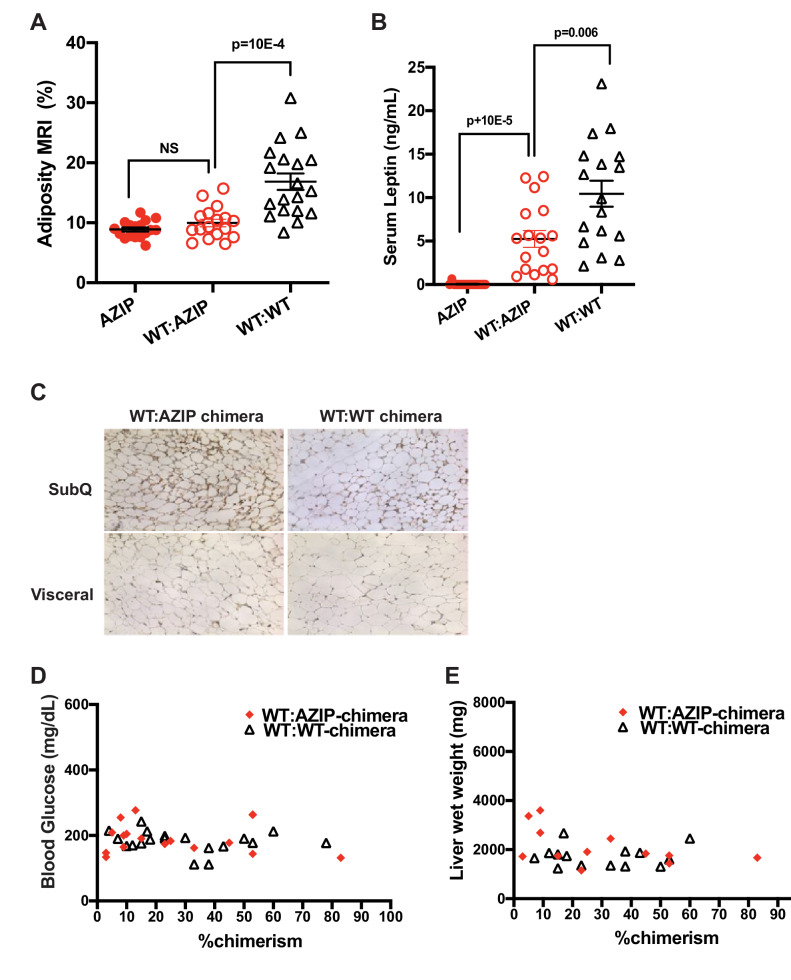 Figure 2—figure supplement 1.