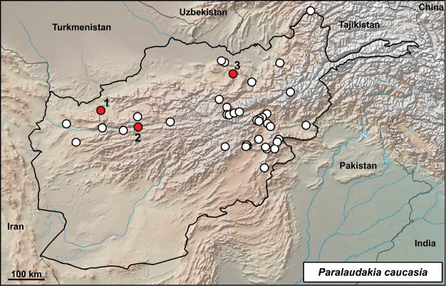 Figure 4.