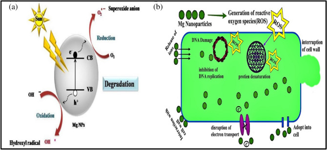 Figure 13