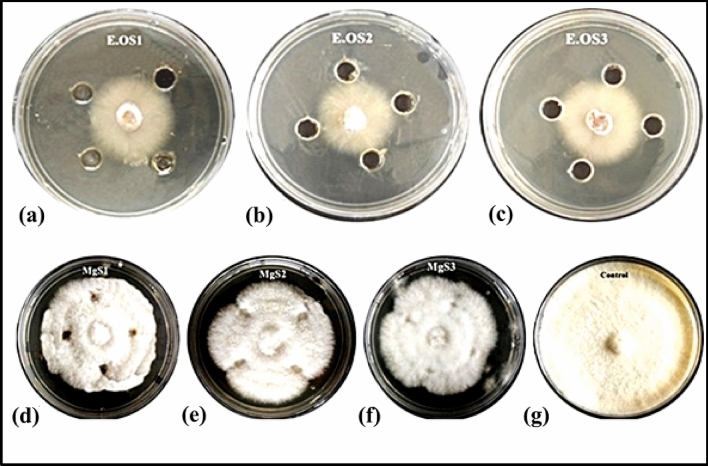 Figure 11