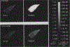 FIG. 6: