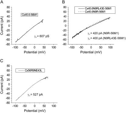 FIGURE 11