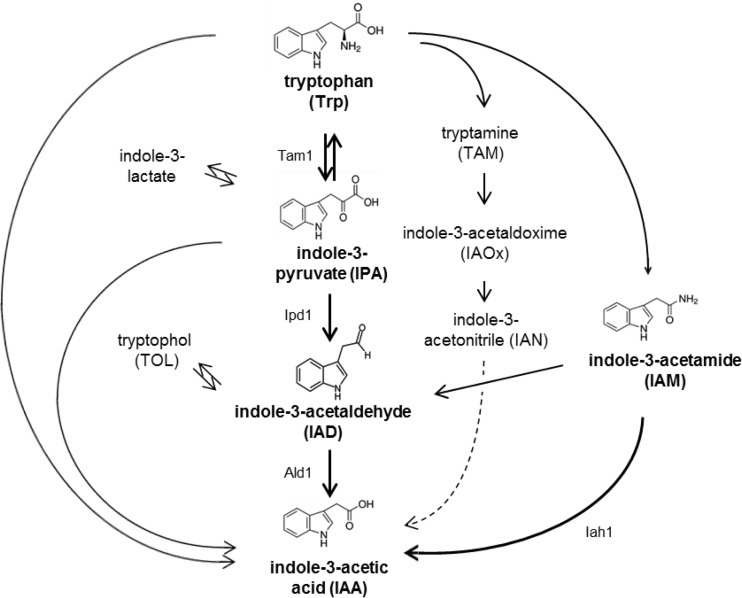 FIG 3