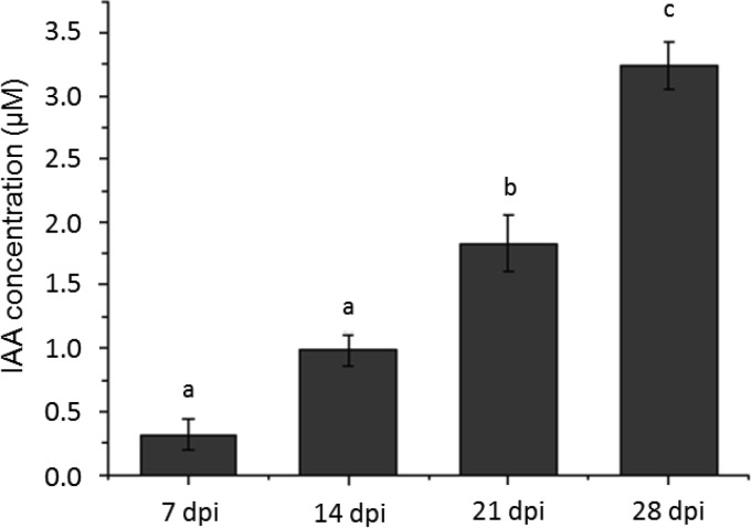 FIG 1