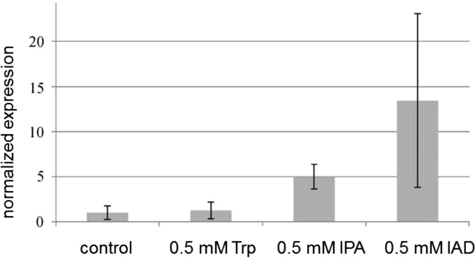 FIG 4