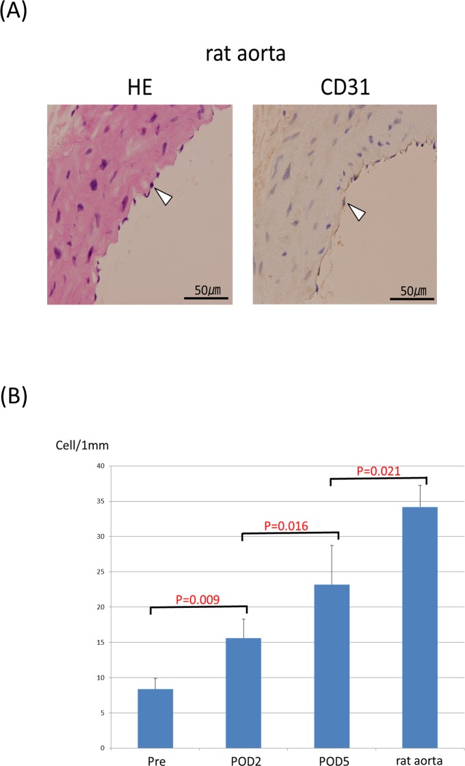 Fig 7