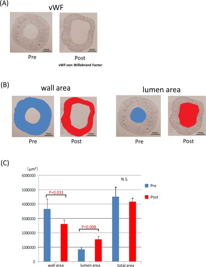 Fig 8