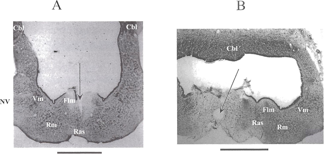 Fig. 3. -