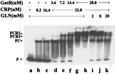 FIG. 8