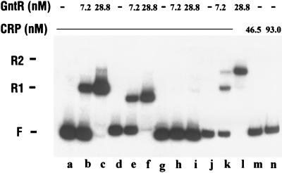 FIG. 7