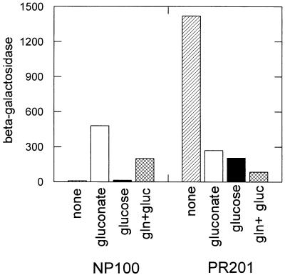 FIG. 1