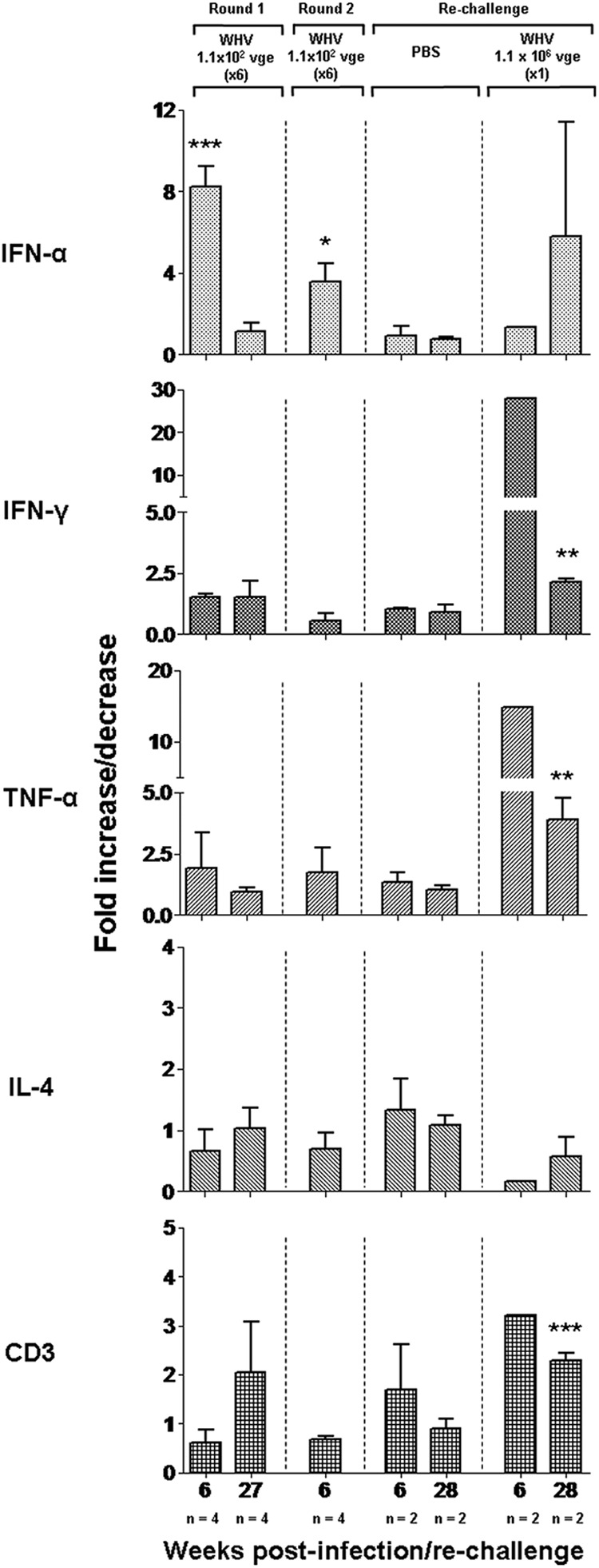 Fig 7