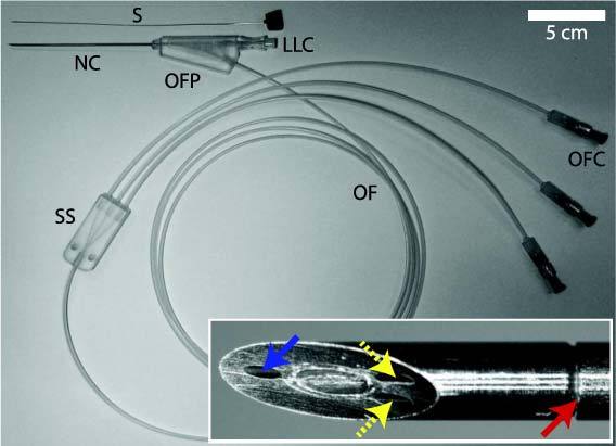 Fig. 1