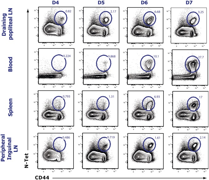 Fig. S2.