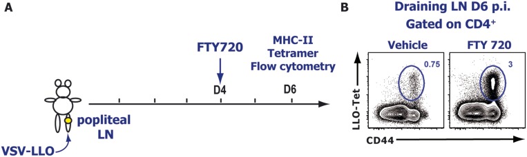 Fig. S8.