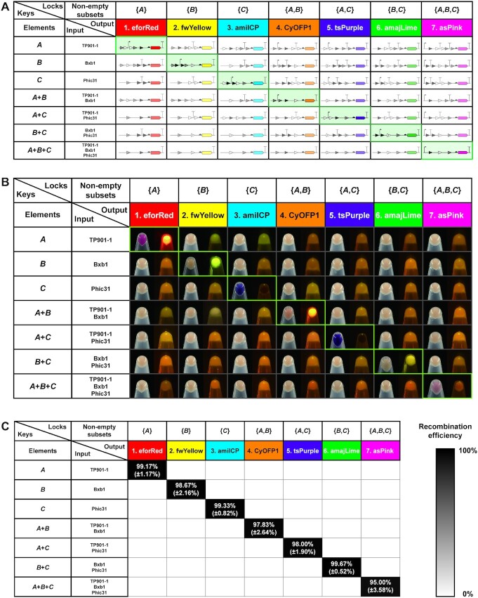 Figure 2.