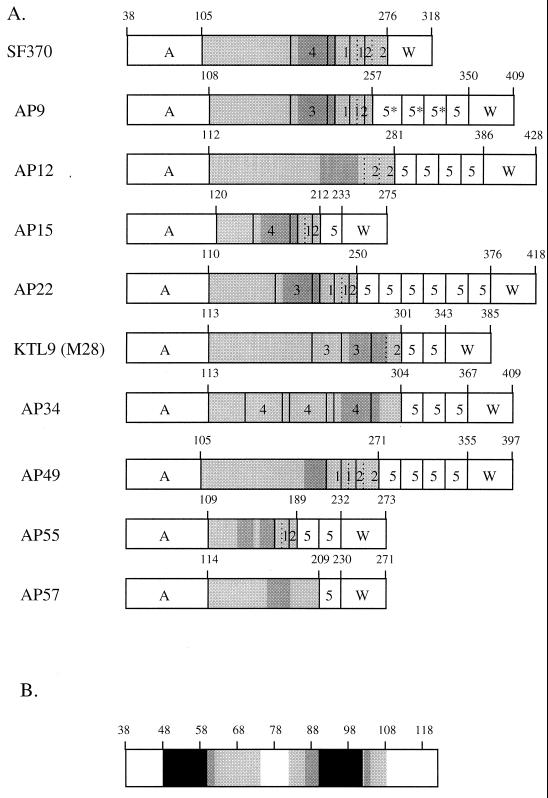 FIG. 5