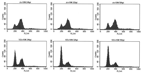 FIG. 6