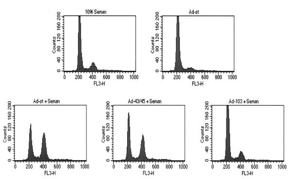 FIG. 1