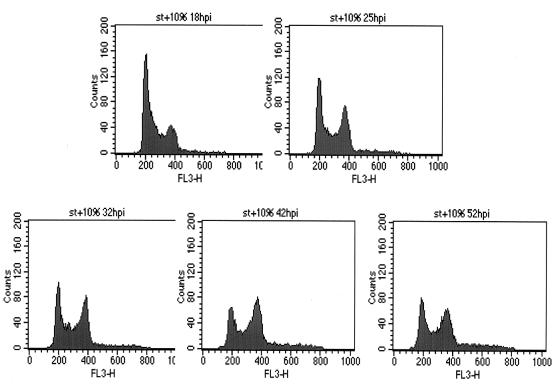 FIG. 3