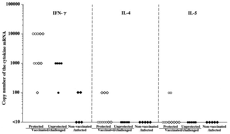 FIG. 7