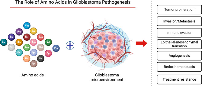 graphic file with name 12935_2025_3721_Fig2_HTML.jpg