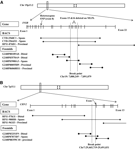 FIG. 1.