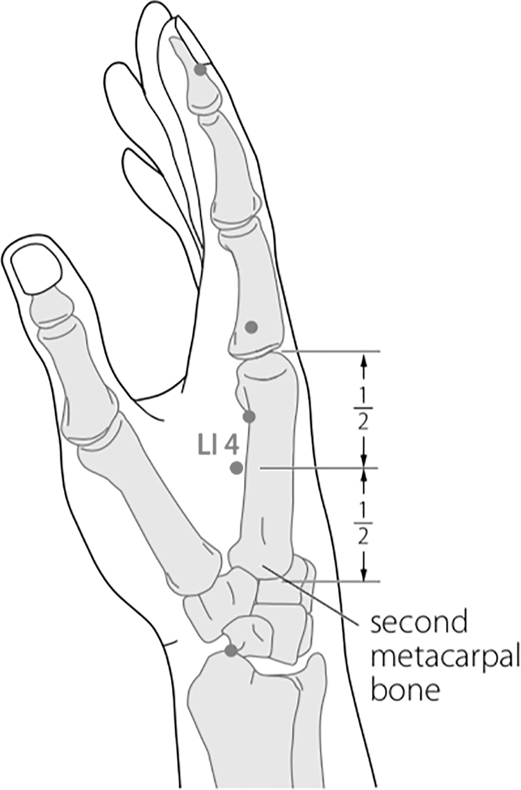 FIG. 1.