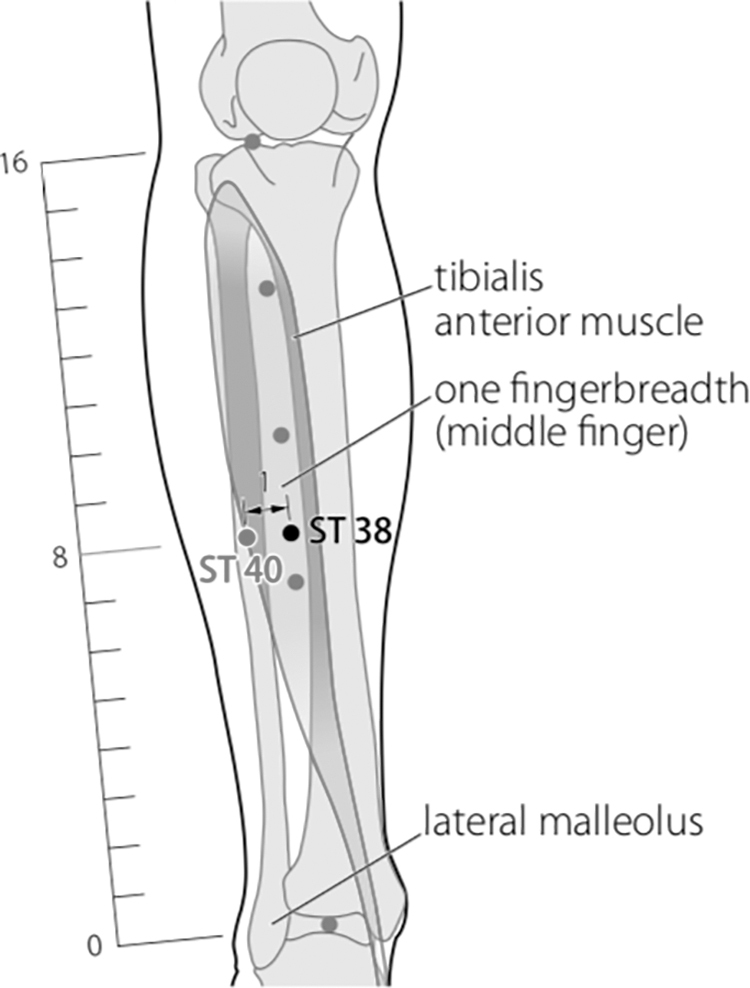 FIG. 5.