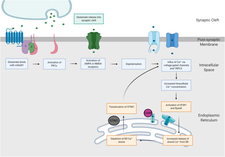 FIGURE 3