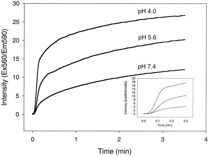 FIG. 4