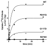 Fig. 4